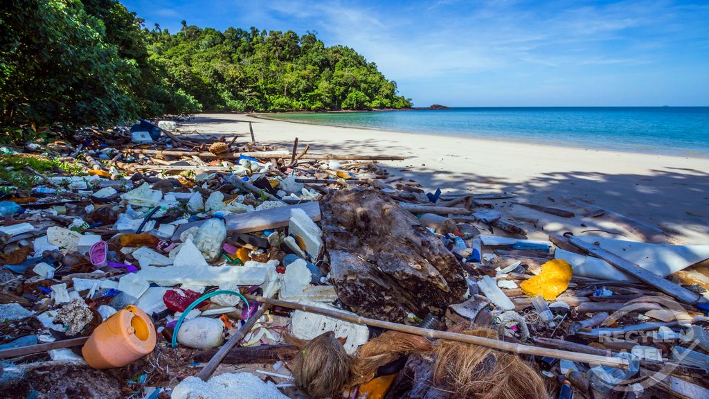 Deniz Çöpü Nedir?