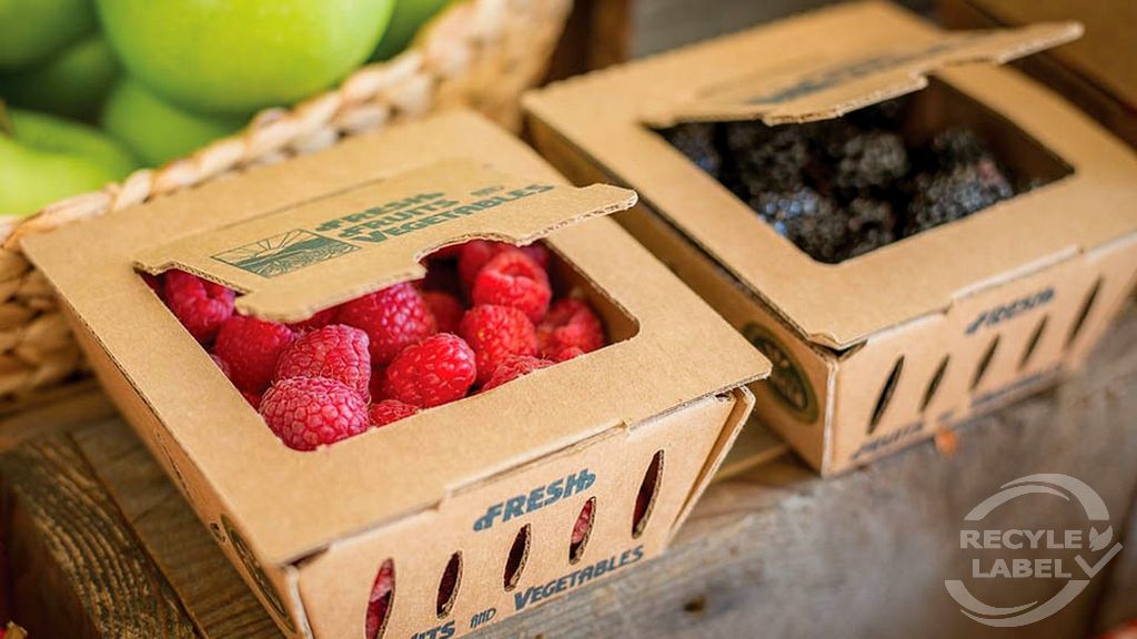 Geri Dönüştürülebilir Malzemeler - Gıda Paketleri